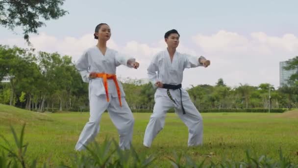 Wide Shot Asian Couple Professional Sportspeople Practicing Taekwondo Punches Outdoors — Stock Video