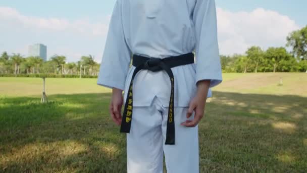 Tilt Πλάνο Του Ισχυρού Αθλητή Φορώντας Dobok Ενώ Εξάσκηση Taekwondo — Αρχείο Βίντεο
