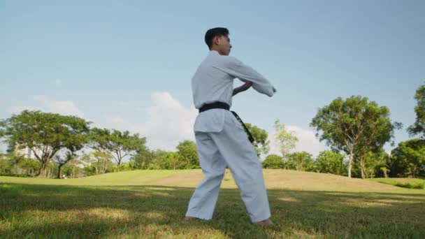 跆拳道课期间 身穿白衣的亚洲男子运动员在公园里热身的全景 复制空间 — 图库视频影像