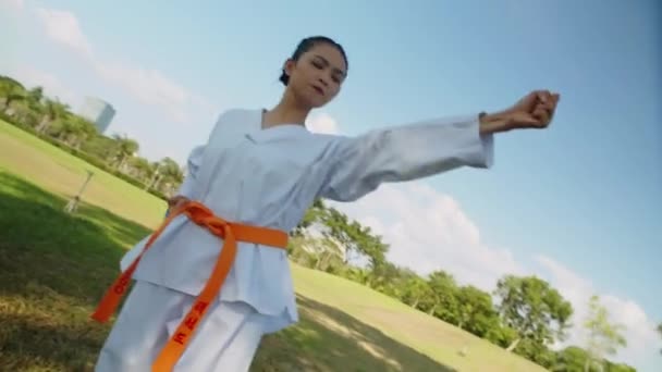 Asia Taekwondo Luchadora Femenina Realizando Golpes Movimientos Posturas Mientras Entrena — Vídeo de stock