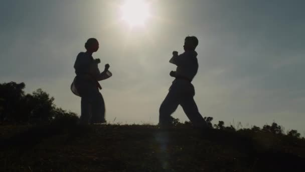 Długie Ujęcie Mężczyzn Kobiet Sylwetki Praktykujących Taekwondo Szkolenia Świeżym Powietrzu — Wideo stockowe