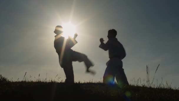 Long Shot Two Fighters Performing Kicks While Working Out Outdoors — Stock Video