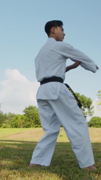 Tiro Vertical Ásia Gen Desportista Dobok Praticar Taekwondo Posições Livre — Vídeo de Stock