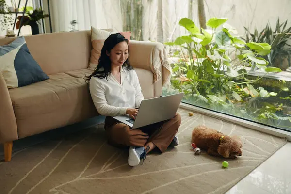 Jovem Mulher Sentada Chão Trabalhando Laptop Quando Seu Cão Brincando Imagem De Stock