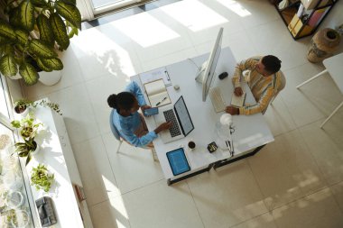 Çiçeklerle süslenmiş küçük, rahat bir ofiste çalışan gençler