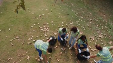 Yerel parkta gönüllü olarak çalışırken çöp toplayan beş gencin görüntüsü