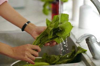Mutfakta salata için taze sebze yıkayan bir kadının yakın çekimi.