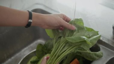 Mutfak lavabosunda salata için yeşillik yıkayan tanınmayan kişinin ellerini kapatın.