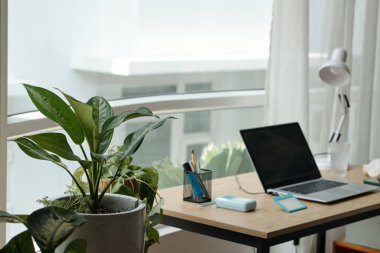 Çağdaş ofis ortamı, dizüstü bilgisayar, saksı bitkisi ve profesyonel ve sakin bir çalışma ortamı yaratan aletlerle süslü bir masa düzenini ön plana çıkarıyor.