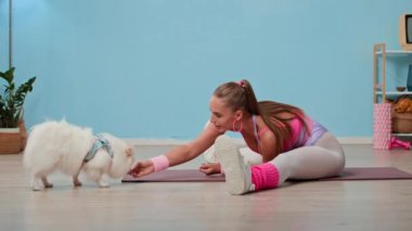 Genç bayan atlet retro spor giyerken beyaz tüylü köpeğe ikramda bulunurken kapalı alanda bacak aralığı yaparken.