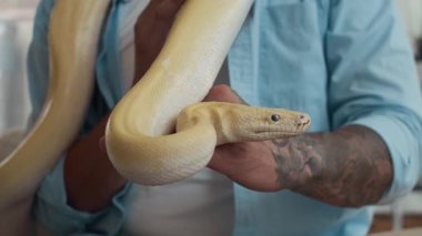 Kapalı alanda tanınmayan dövmeli bir adamın ellerinde sallanan albino bir piton.