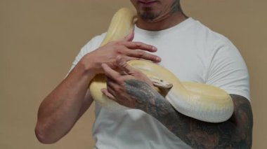 Dövmeli bir erkeğin kolunda sürünen albino yılanı okşaması.
