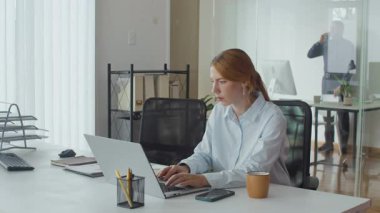 Beyaz kadın yöneticinin kablosuz bilgisayarda yazarken erkek meslektaşının arka planda telefon konuşması yaparken çekilmiş statik görüntüsü.