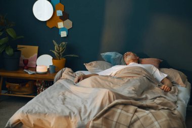 Sıcak ışıklandırma ve çeşitli bitki ve dekorlarla dolu rahat bir yatak odasında huzur içinde yatıyorlar. Duvarlara yumuşak gölgeler bırakıyorlar.