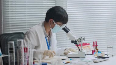 Beyaz önlüklü genç bir kadın çalışma masasında oturmuş mikroskopla petri kabına bakıyor ve kendi gözlemini yazıyor.