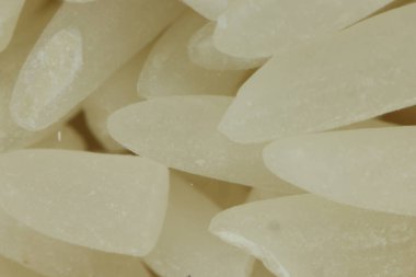 Pirinç taneleri, büyük boy pirinç, beyaz pirinç, ekilmiş bitki, tahıl, çim ailesi, Çin pirinci.