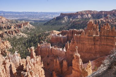 Bryce Canyon Ulusal Parkı 'nda büyüyen kozalaklı bir ormana dönüşür. Kaya holiganları etraftaki maddelerin aşınmasıyla oluşmuş uzun taş oluşumlarıdır..