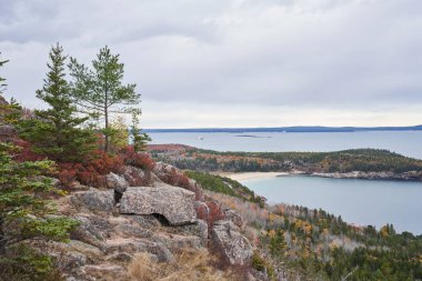 Acadia Ulusal Parkı 'nda yer alan Gorham dağı çevresindeki kıyı şeridi, Pasifik Okyanusu ve aşağıdaki kumsal manzarasını sunmaktadır. Ekim ayındayız ve güzel sonbahar renkleri hala görülecek..