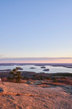 Acadia Ulusal Parkı 'ndaki Cadillac dağının bu geniş manzarası kirpi adalarını, alantik okyanusu ve Maine kıyı şeridini gösteriyor. Mavi gökyüzü ve birkaç pembe bulutla güzel manzaralı bir sabah..