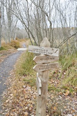 Bir rehber direği Acadia Ulusal Parkı 'ndaki yürüyüşçülere yol gösterir. Oklar yolu gösteriyor, harika çayır döngüsü, baldıran otu yolu, strath cenneti ve baldıran otu izleri..