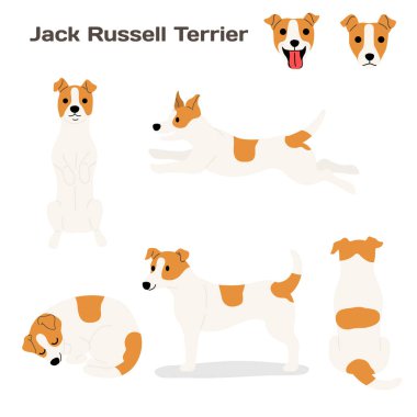 Jack Russell Terrier karikatür vektör çizimi