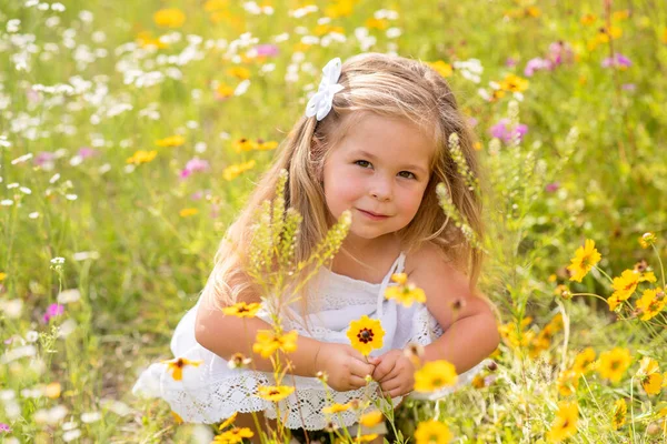 Flicka Vit Klänning Plockar Blommor Blåtira Susan Blomma Fält Barn — Stockfoto
