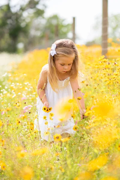 Girl in a white dress picking flowers in a black eye Susan flower field. Child in a flower meadow at in a patch of yellow and white flowers.