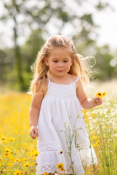 Girl in a white dress picking flowers in a black eye Susan flower field. Child in a flower meadow at in a patch of yellow and white flowers.