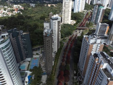 Curitiba Parana Brezilya, 27 Nisan. 2023: Dep Heitor Alencar Furtado Caddesi, Curitiba 'da güzel bir sonbahar sokağı..