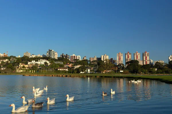 Curitiba Parana Brezilya 'daki Barigui Parkı.