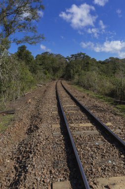 Buğday Demiryolu. Brezilya 'nın güneyindeki tren yolu Rio Grande do Sul' daki Taquari Vadisi 'nde..