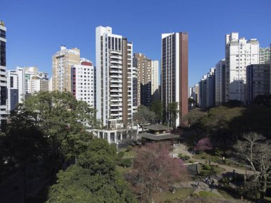 Curitiba Parana Brezilya, 23 Temmuz. 2023: Curitiba 'daki Japon meydanında kiraz çiçekleri.