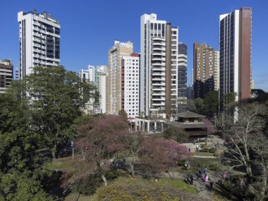 Curitiba Parana Brezilya, 23 Temmuz. 2023: Curitiba 'daki Japon meydanında kiraz çiçekleri.