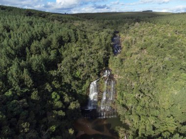 Senges Parana Brezilya 'da rezene şelalesi (cachoeira do erva doce).
