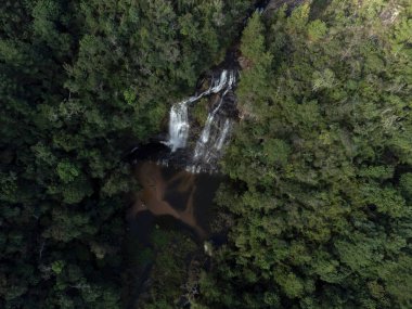 Senges Parana Brezilya 'da rezene şelalesi (cachoeira do erva doce).