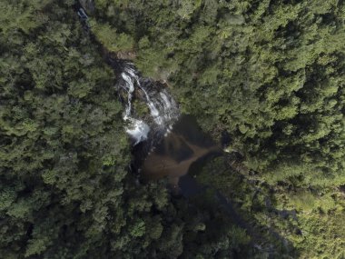 Senges Parana Brezilya 'da rezene şelalesi (cachoeira do erva doce).