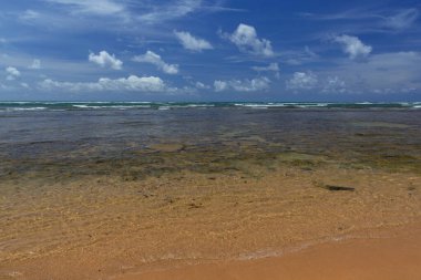 Praia do Forte, Bahia 'da Mata de Sao Joao belediyesi, Salvador yakınlarında..