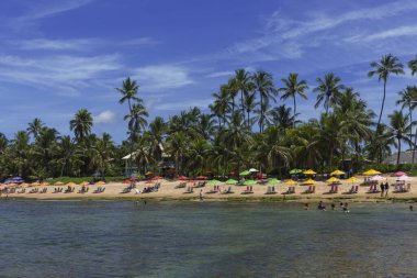 Praia do Forte, Salvador Bahia Brezilya yakınlarındaki ünlü turist plajı. Mata de Sao Joao Belediyesi.