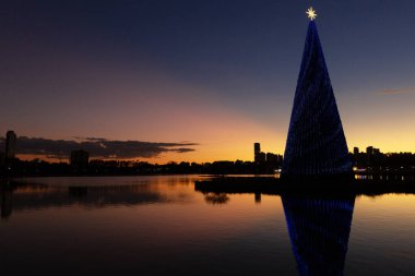 Curitiba 'daki Barigui Park' ta Noel ağacı.