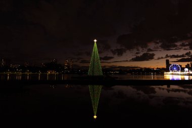 Curitiba 'daki Barigui Park' ta Noel ağacı.