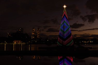 Curitiba 'daki Barigui Park' ta Noel ağacı.