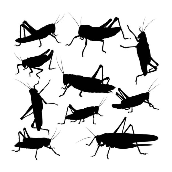 Grasshopper insect silhouettes. Good use for symbol, logo, icon, mascot, sign, or any design you want