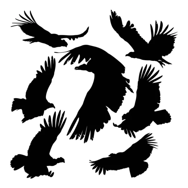 Силуети Птахів Кондора Хороше Використання Символів Логотипу Піктограми Талісмана Знаку — стоковий вектор
