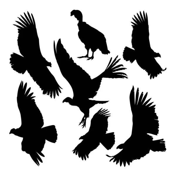 Cóndor Siluetas Animales Aves Buen Uso Para Símbolo Logotipo Icono — Vector de stock