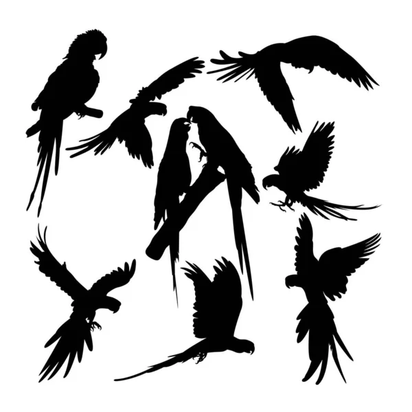 Silhouettes Oiseaux Perroquets Bon Usage Pour Symbole Logo Icône Mascotte — Image vectorielle