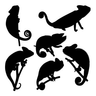 Bukalemun sürüngen siluetleri. Sembol, logo, simge, işaret ya da istediğiniz herhangi bir tasarım için kullanılabilir