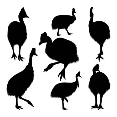 Cassowary kuş vahşi hayvan siluetleri. Sembol, logo, simge, işaret ya da istediğiniz herhangi bir tasarım için kullanılabilir
