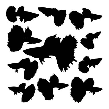 Guppy balık hayvan siluetleri. Sembol, logo, simge, maskot, işaret ya da istediğiniz herhangi bir tasarım için iyi bir kullanım
