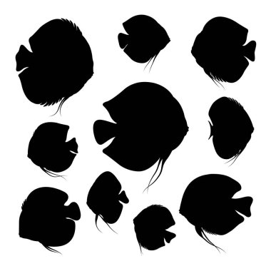 Discus balığı hayvan siluetleri. Sembol, logo, simge, maskot, işaret ya da istediğiniz herhangi bir tasarım için iyi bir kullanım