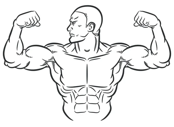 부피가 근육을 구부리는 스케치 보디빌더 — 스톡 벡터